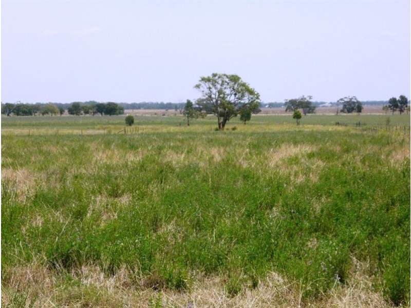 Dubbo NSW 2830