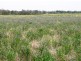 Dubbo NSW 2830