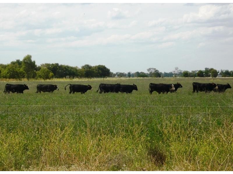 Dubbo NSW 2830