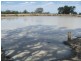 Walgett NSW 2832