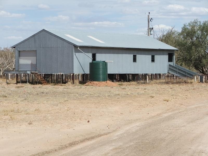 Walgett NSW 2832