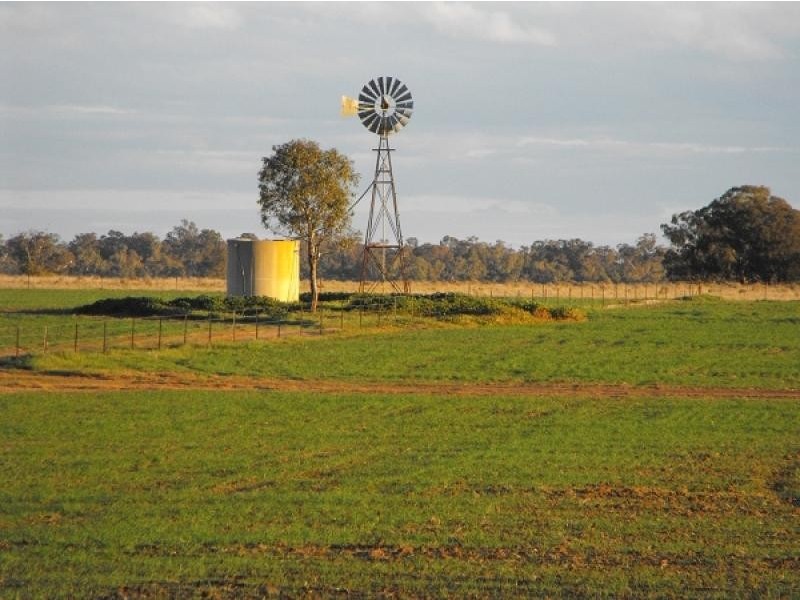 Gilgandra NSW 2827