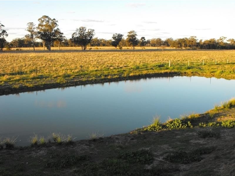 Gilgandra NSW 2827