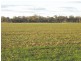 Gilgandra NSW 2827