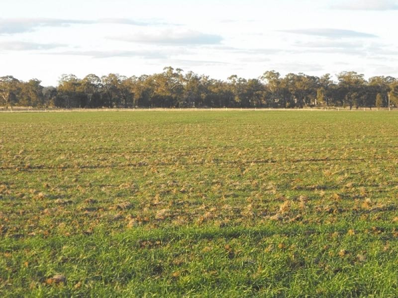 Gilgandra NSW 2827
