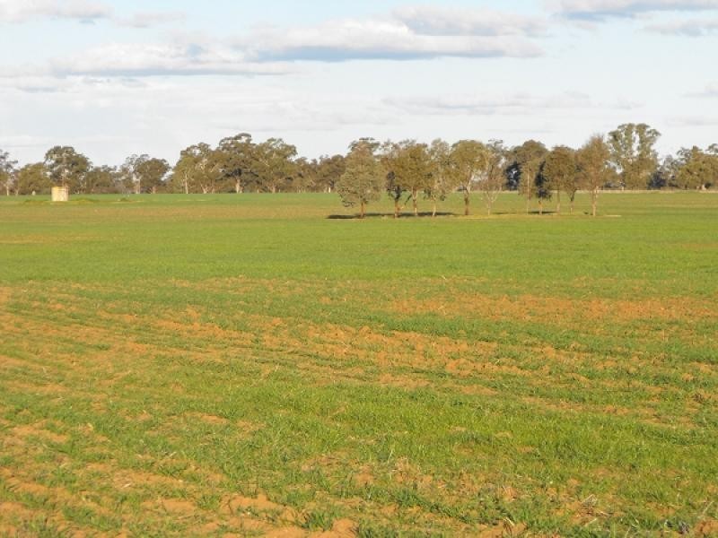 Gilgandra NSW 2827