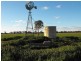 Gilgandra NSW 2827