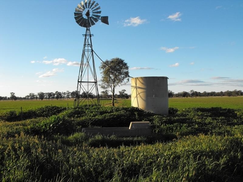 Gilgandra NSW 2827