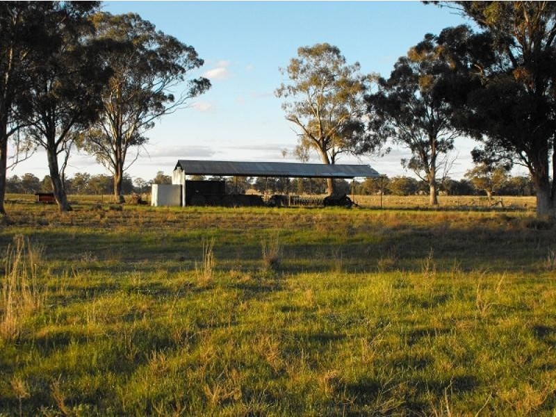 Gilgandra NSW 2827
