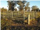Gilgandra NSW 2827