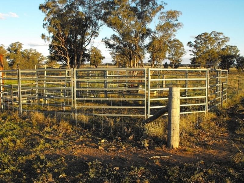 Gilgandra NSW 2827