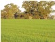 Gilgandra NSW 2827