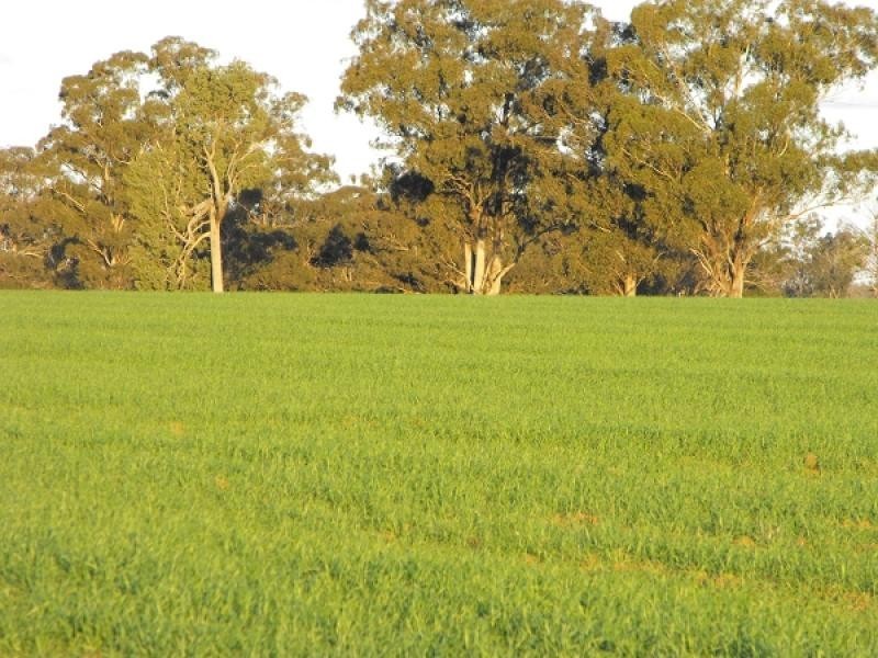 Gilgandra NSW 2827