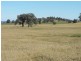 Mendooran NSW 2842