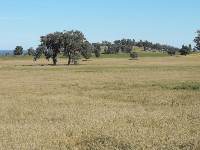 Mendooran NSW 2842