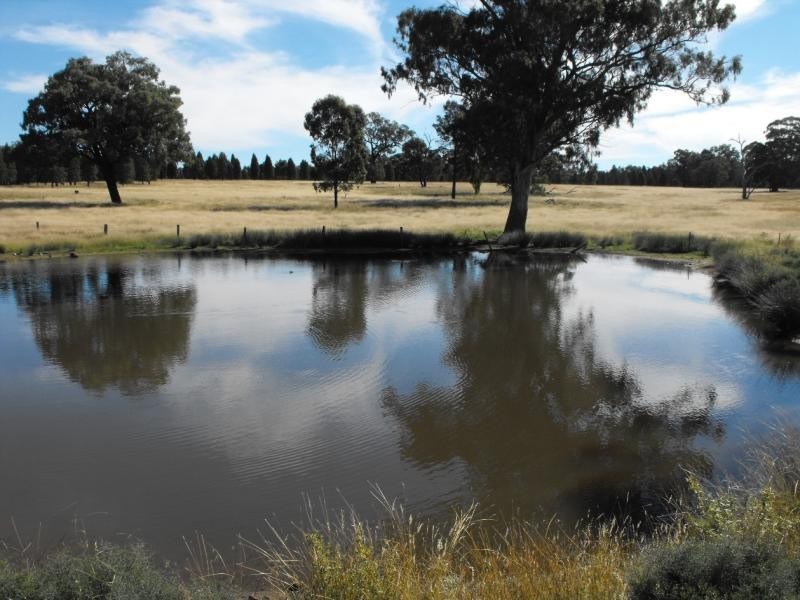 Mendooran NSW 2842