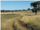 Mendooran NSW 2842