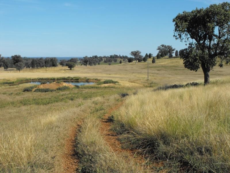 Mendooran NSW 2842