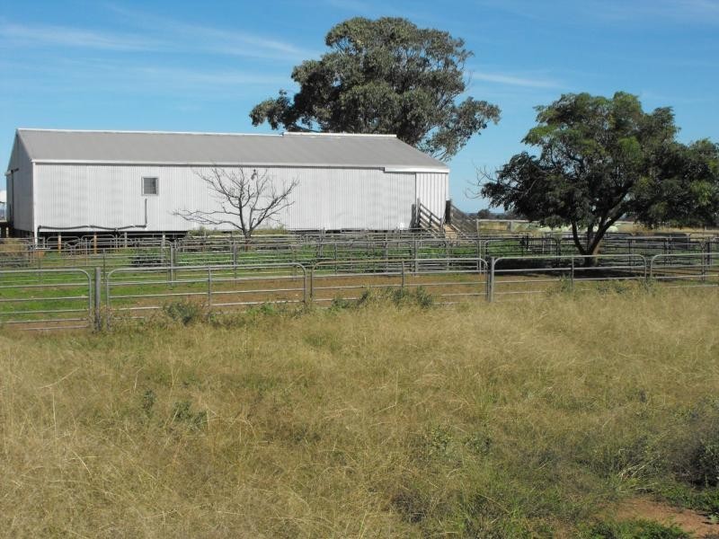 Mendooran NSW 2842