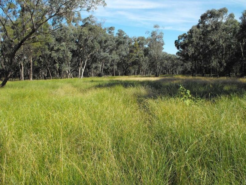 Mendooran NSW 2842