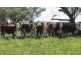Tullibigeal NSW 2669