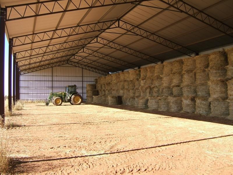 Tullibigeal NSW 2669