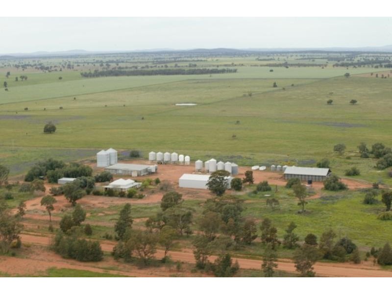 Tullibigeal NSW 2669
