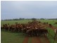 Tullibigeal NSW 2669