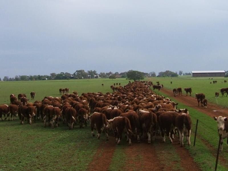 Tullibigeal NSW 2669