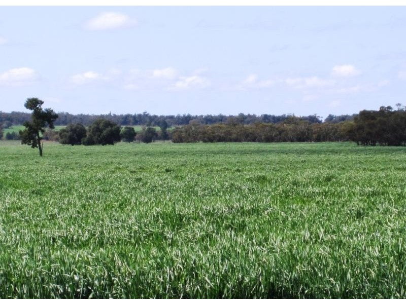 Tullibigeal NSW 2669