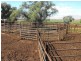 Tullibigeal NSW 2669
