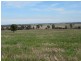 Tullibigeal NSW 2669