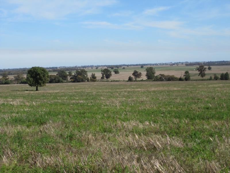 Tullibigeal NSW 2669