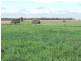 Tullibigeal NSW 2669