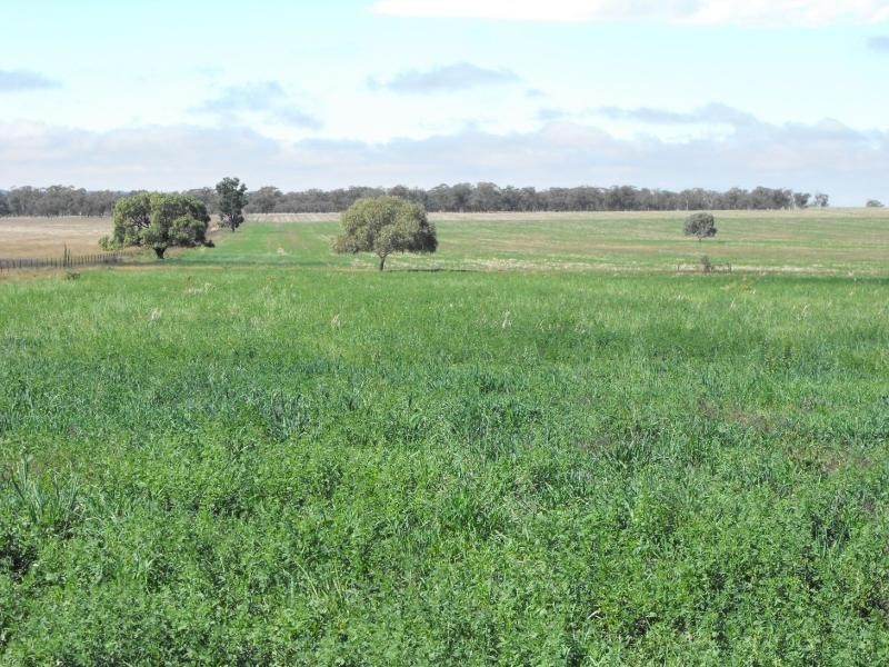 Tullibigeal NSW 2669