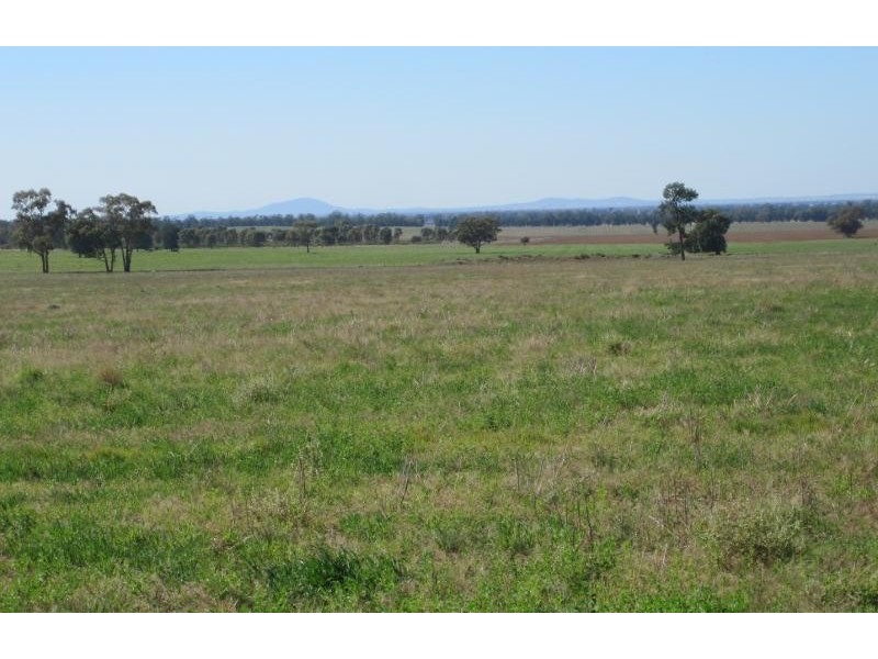 Tullibigeal NSW 2669