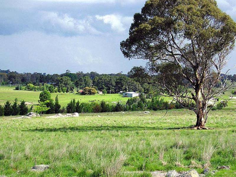 BOOROLONG ROAD, Armidale NSW 2350
