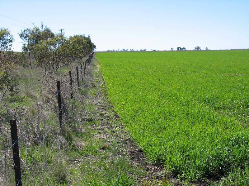 241 ENMORE ROAD, Armidale NSW 2350