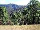487 SMITHS CREEK ROAD, Lower Creek NSW 2440