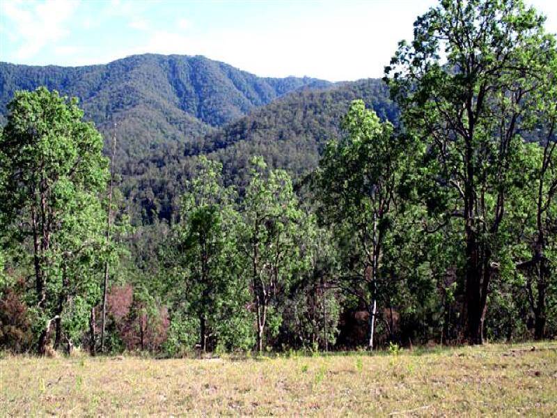 487 SMITHS CREEK ROAD, Lower Creek NSW 2440