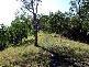 487 SMITHS CREEK ROAD, Lower Creek NSW 2440