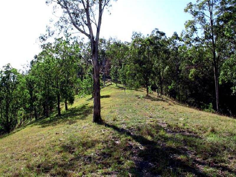 487 SMITHS CREEK ROAD, Lower Creek NSW 2440
