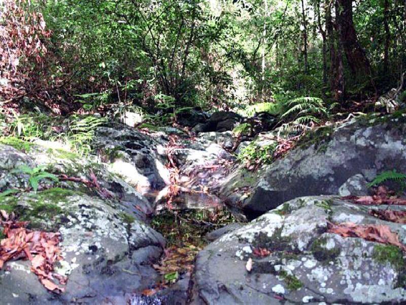 487 SMITHS CREEK ROAD, Lower Creek NSW 2440