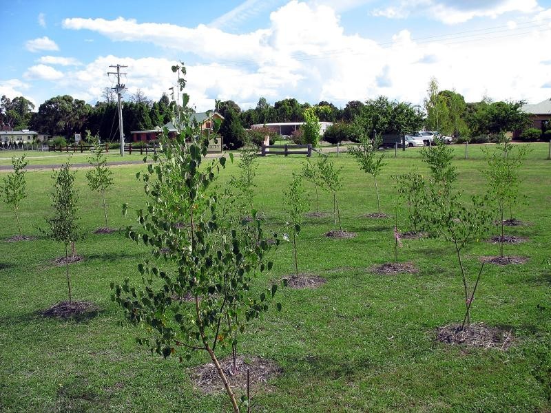 82 Glen Innes Road, Armidale NSW 2350