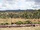 ‘ SOUTHERN CROSS ‘ BUNDARRA – INVERELL ROAD, Armidale NSW 2350