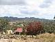 ‘ SOUTHERN CROSS ‘ BUNDARRA – INVERELL ROAD, Armidale NSW 2350