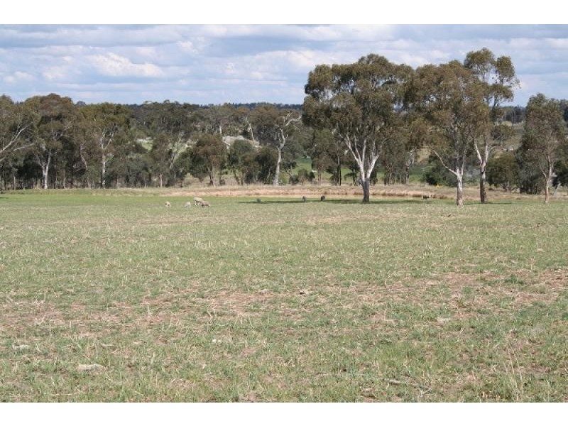 30 Devoncourt Road, Uralla NSW 2358