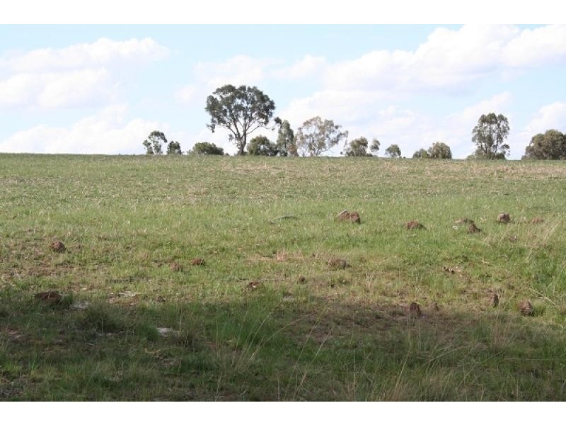 30 Devoncourt Road, Uralla NSW 2358