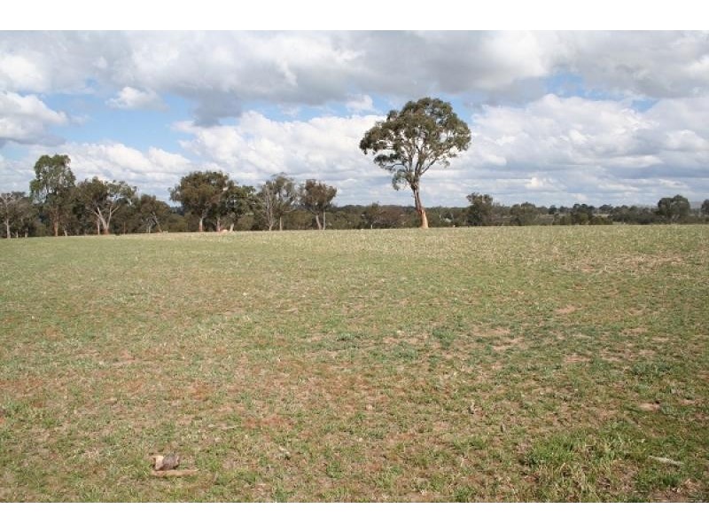 30 Devoncourt Road, Uralla NSW 2358