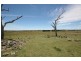 Dangarsleigh NSW 2350